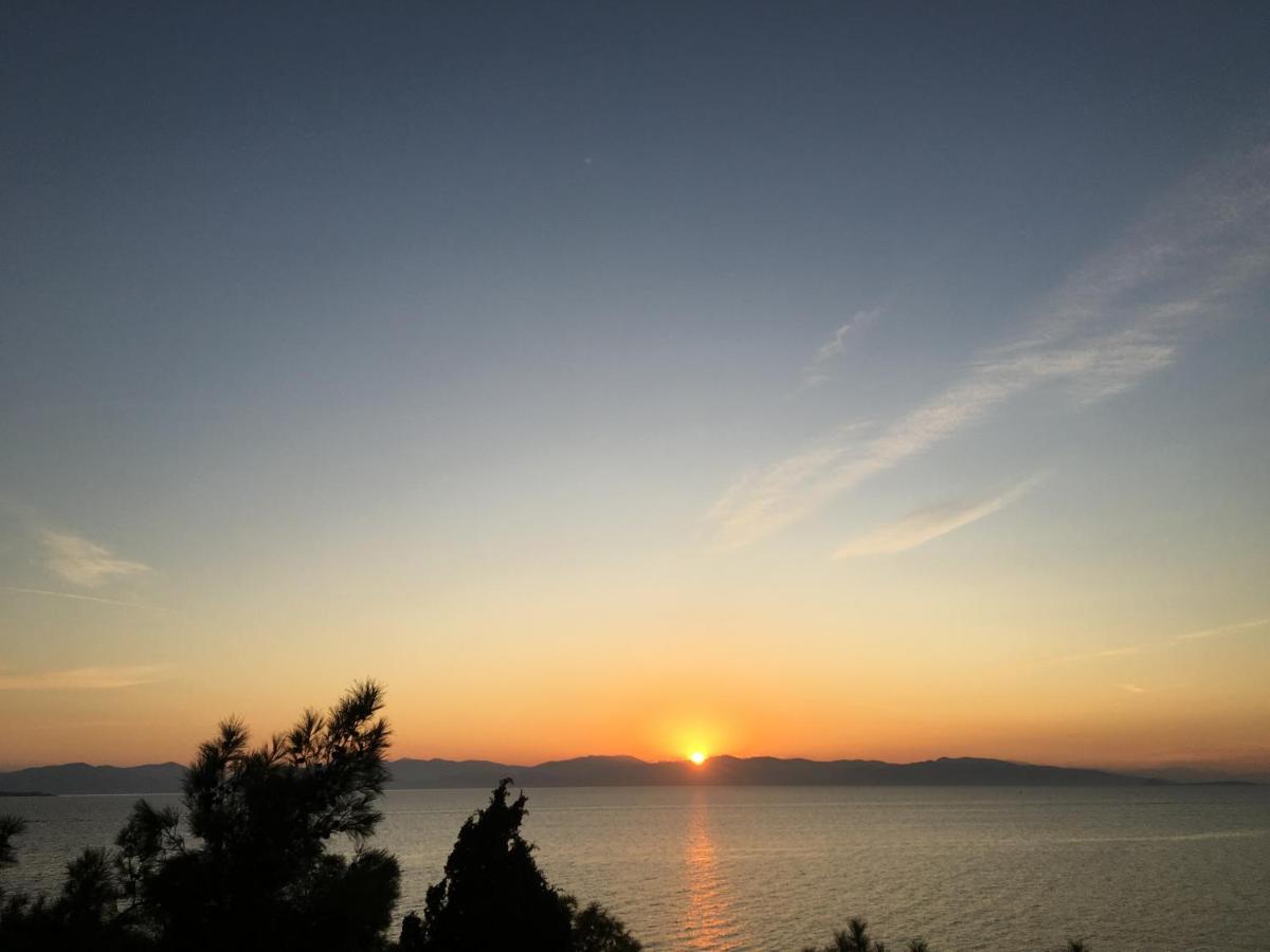 Pyrgos Ralli Estate Guesthouse Aegina 외부 사진