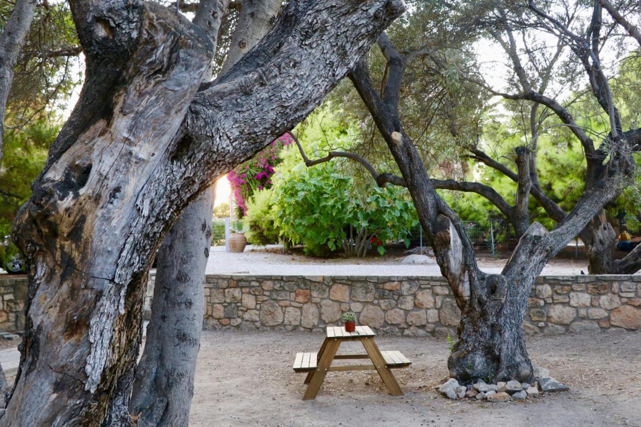Pyrgos Ralli Estate Guesthouse Aegina 외부 사진