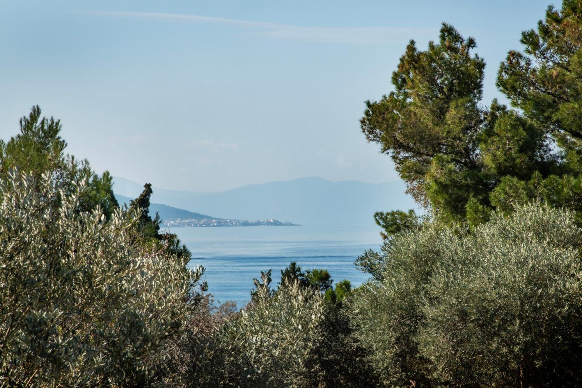 Pyrgos Ralli Estate Guesthouse Aegina 외부 사진