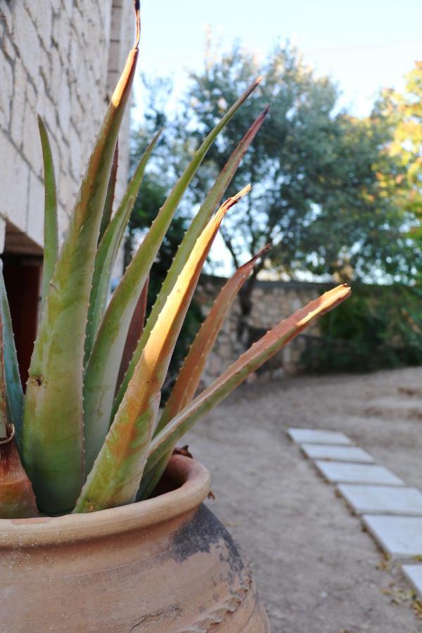 Pyrgos Ralli Estate Guesthouse Aegina 외부 사진